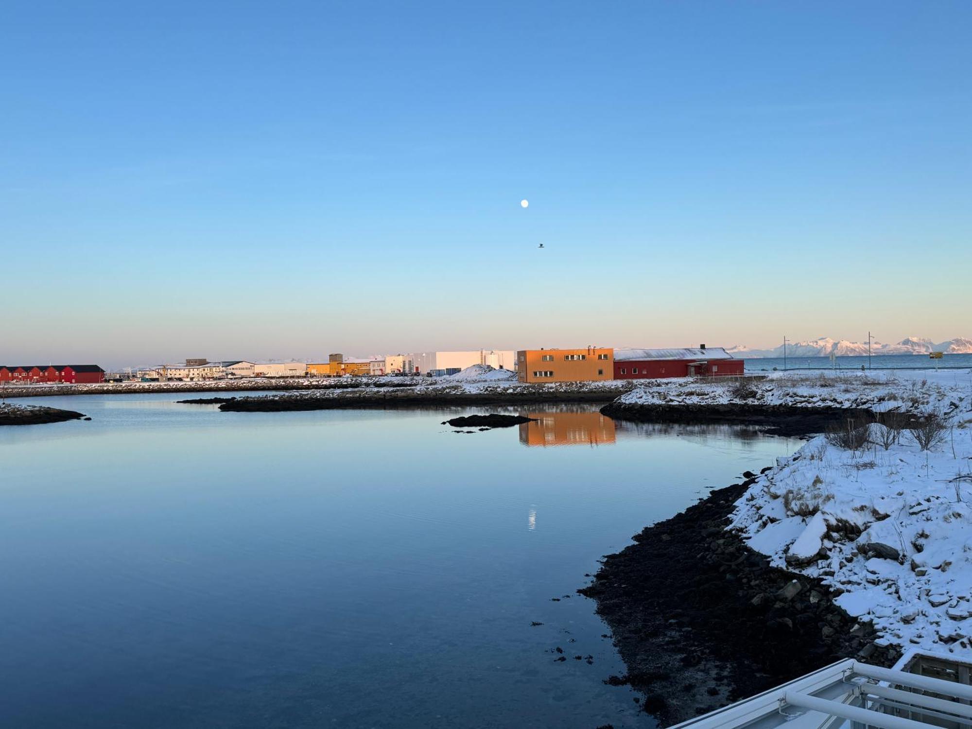 Gronnbuene Rorbu Hotel Andenes Buitenkant foto